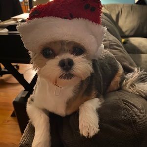 Meet your Posher, Chloe